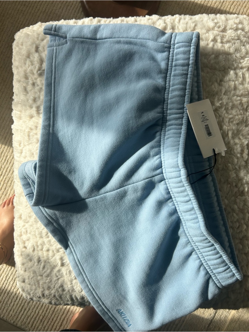 Aritzia SweatFleece Pale Blue Fleece Lounge Shorts
